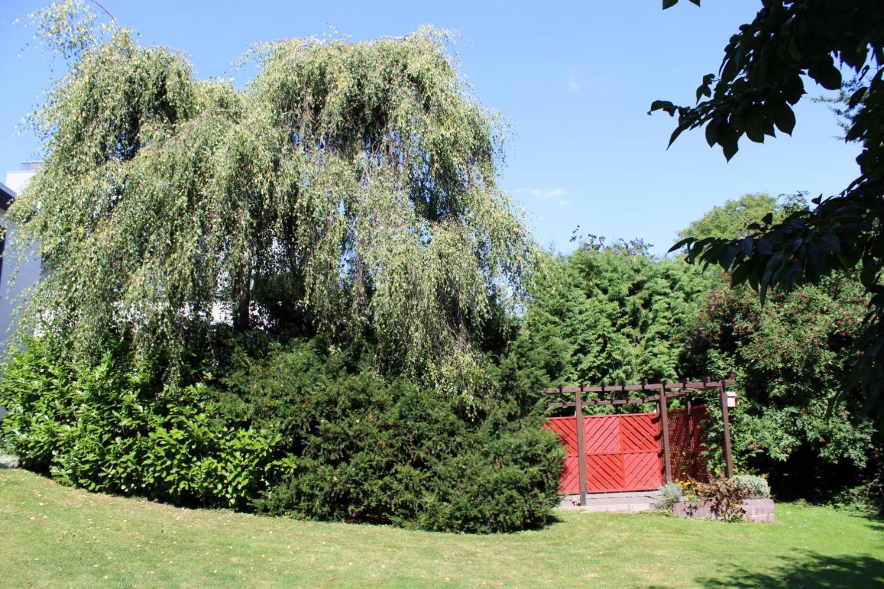 Ferienwohnung Moehneblick Möhnesee エクステリア 写真